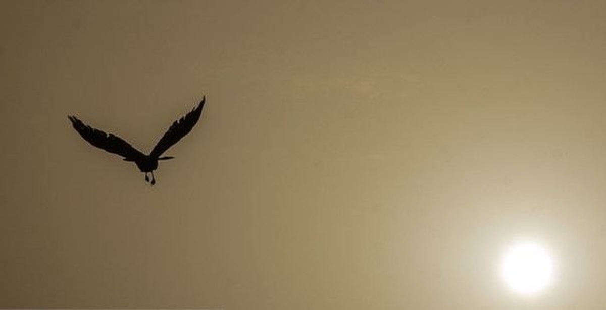 افزایش غلظت آلاینده‌ها در هوای تهران