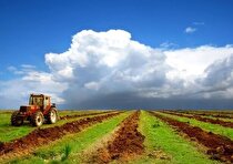 چشماندازهای کشاورزی بدون تنوع زیستی درآستانه فروپاشی هستند! چشماندازهای کشاورزی بدون تنوع زیستی درآستانه فروپاشی هستند!