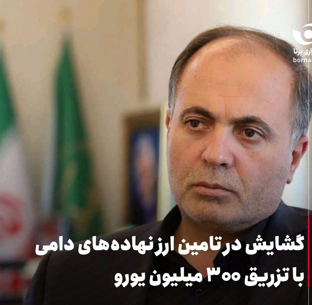 گشایش در تامین ارز نهادههای دامی با تزریق ۳۰۰ میلیون یورو گشایش در تامین ارز نهادههای دامی با تزریق ۳۰۰ میلیون یورو