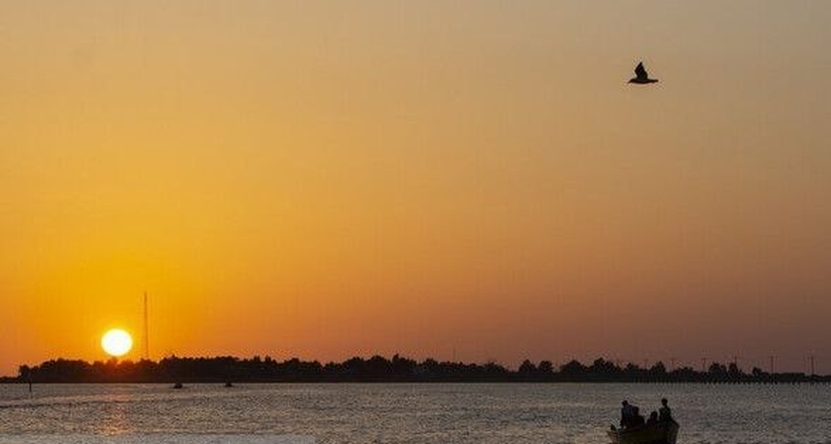 خلیج گرگان را نجات دهید