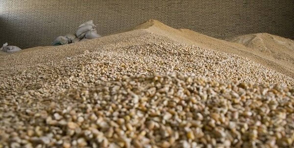 کشف ۶۸ هزار تن نهاده دامی احتکارشده؛ بازداشت ۵۱ متهم