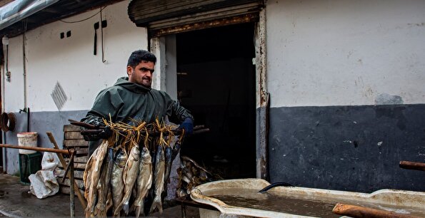 سنت دودی کردن ماهی در گیلان