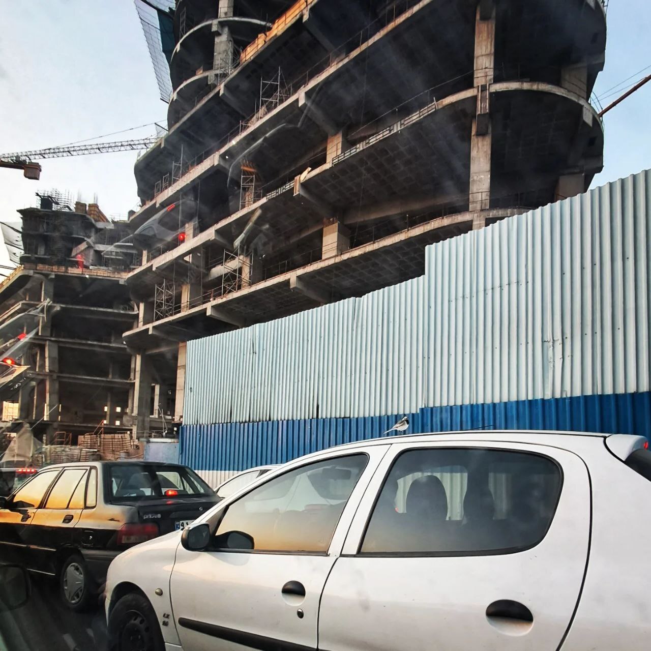 وقتی پرنده‌ها تاکسی‌سوار می‌شوند؛ روایت شاعرانه‌ای از تهران آلوده و ماشینی