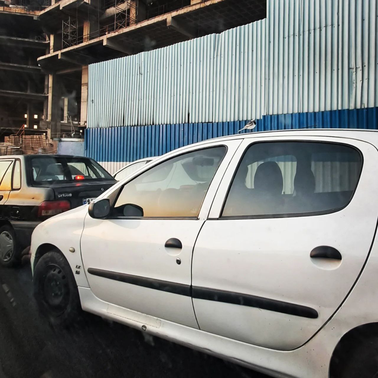 وقتی پرنده‌ها تاکسی‌سوار می‌شوند؛ روایت شاعرانه‌ای از تهران آلوده و ماشینی