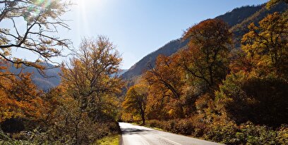 جنگل پاییزی توسکستان گرگان
