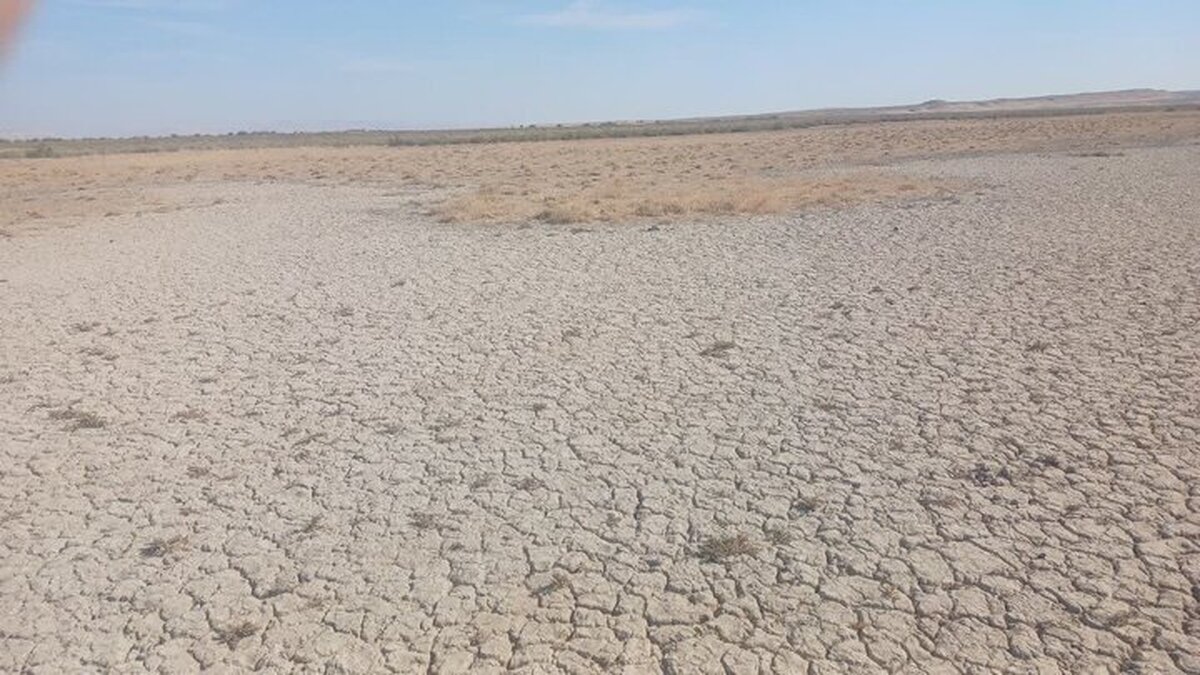 خشکی تالاب بندعلیخان/آب رودخانه شور راهی قم می‌شود