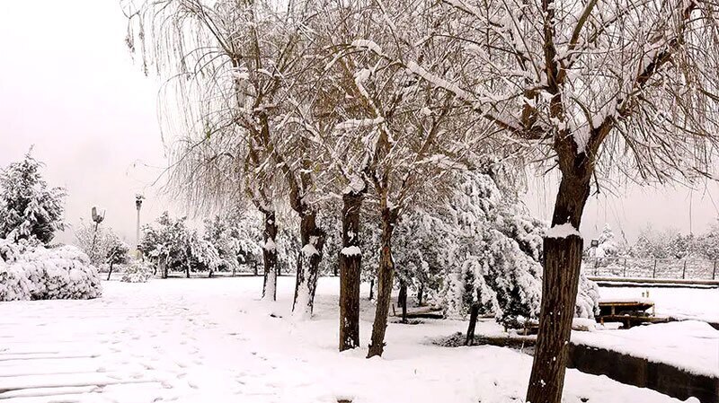 بارش برف و باران در نیمه غربی کشور، امروز ۱۹ آذر بارش برف و باران در نیمه غربی کشور، امروز ۱۹ آذر