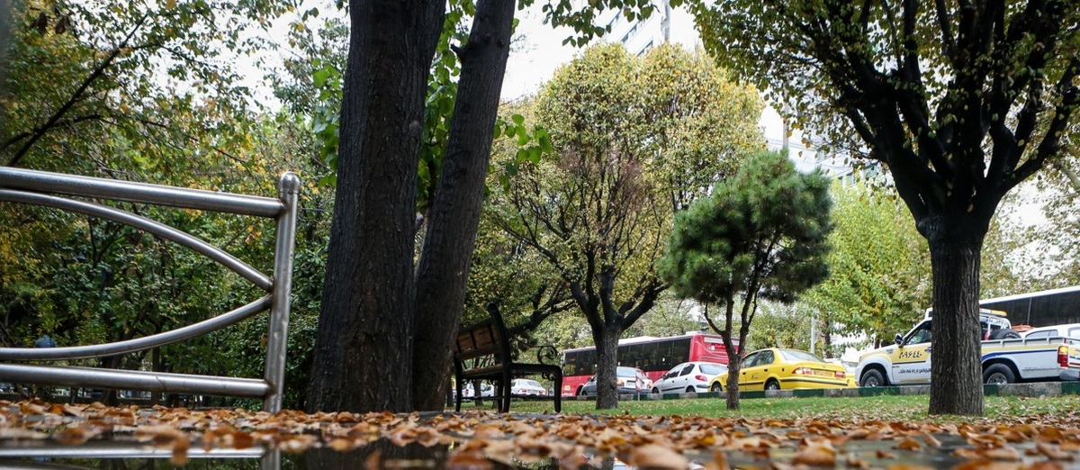 تهران میزبان باد و بارش باران/هوای پایتخت سرد می‌شود