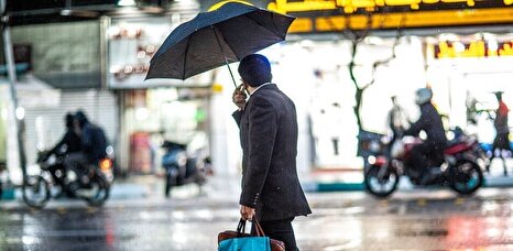 باد و باران در نقاط مختلف تهران