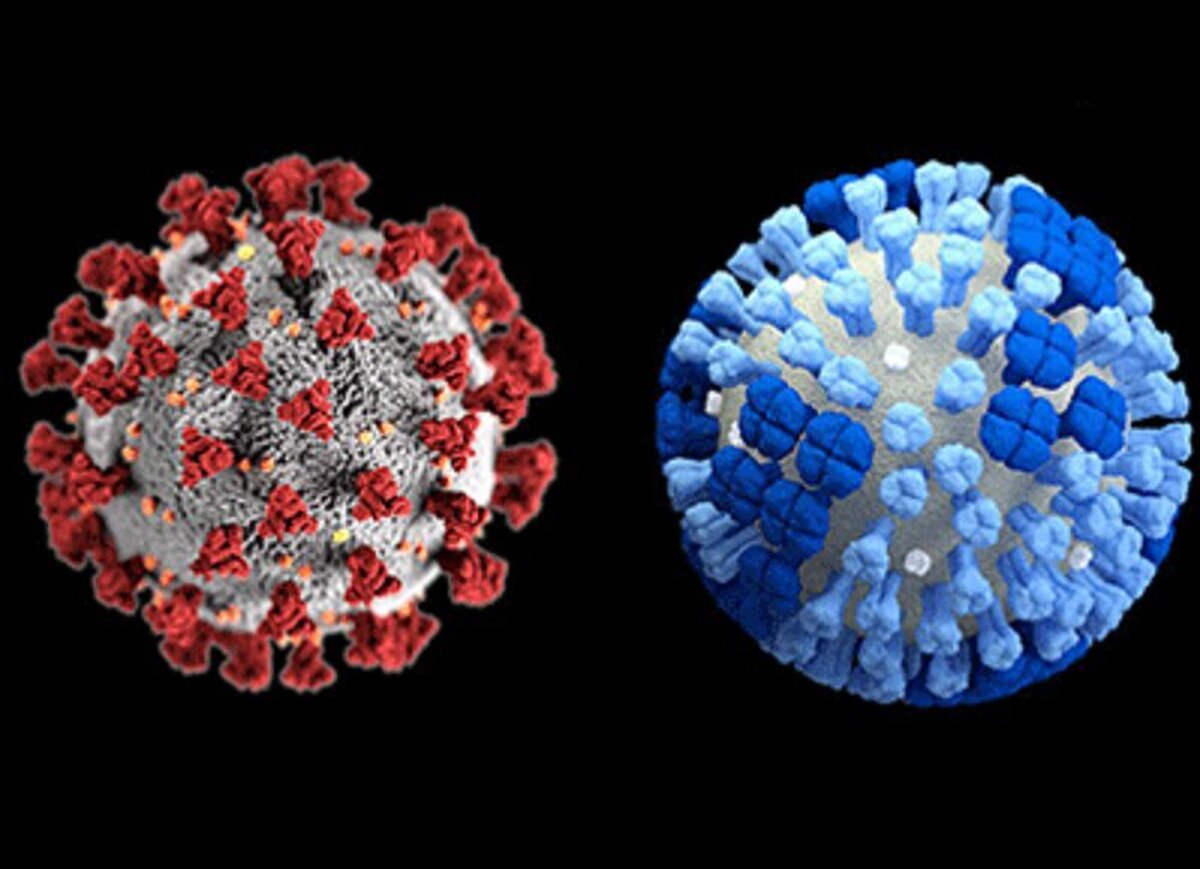 مصرف آنتی‌بیوتیک برای آنفولانزا و کووید فصلی غیرضروری است