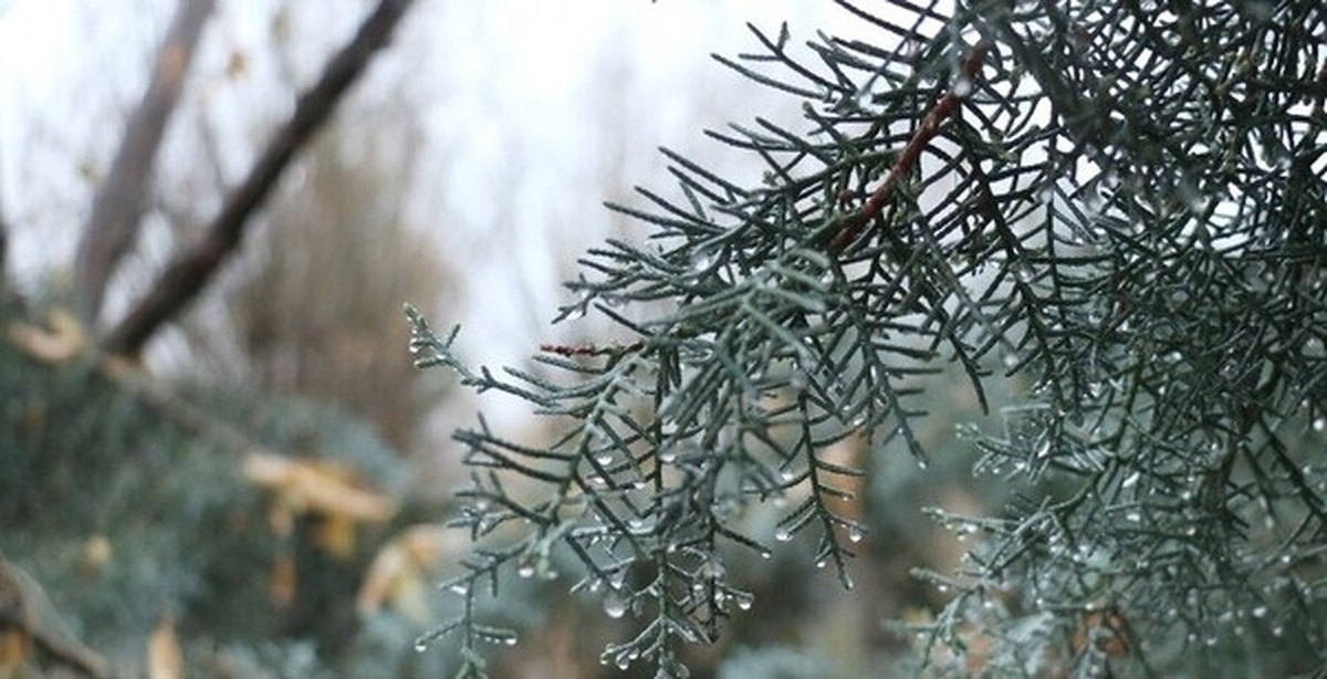 بارش‌های اخیر کم‌آبی کشور را جبران نمی‌کند