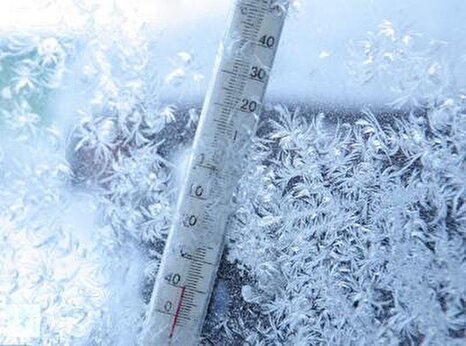 «آفیلیا»؛ پدیده‌ای که فضای مجازی از آن می‌گوید و توصیه‌هایی که منتشر شده است