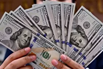 معاون بانک مرکزی: 6 میلیارد دلار تعهد ارزی فقط پای 15 نفر/ 900 کارت بازرگانی اجاره‌ای شناسایی شد