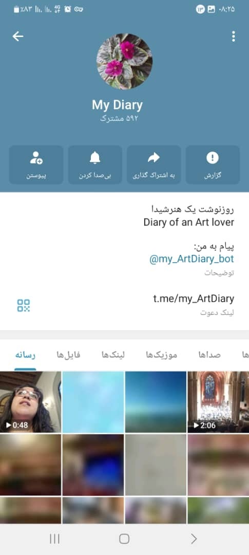 نفوذ شبکه‌ای در قلب استراتژیک ترین خط مقدم تولید صنعت فولاد کشور می‌شود؟