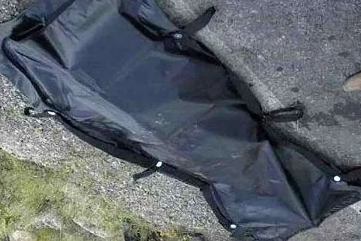 قتل یک استاد دانشگاه به‌دست قاتلان اجاره‌ای در گتوند