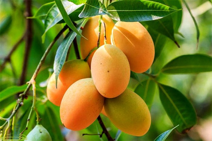 سیستان و بلوچستان؛ سرزمین ناشناخته اما شگفت‌انگیز گردشگری ایران