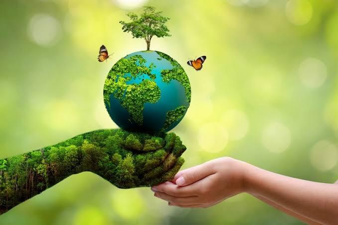 سیزده‌بدر یا روز تخریب طبیعت؟ وقتی شادی ما به بهای مرگ زمین تمام می‌شود