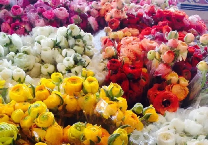 استان مرکزی؛ قلب صنعتی ایران با گنجینه‌ای از تاریخ، طبیعت و طعم‌های اصیل