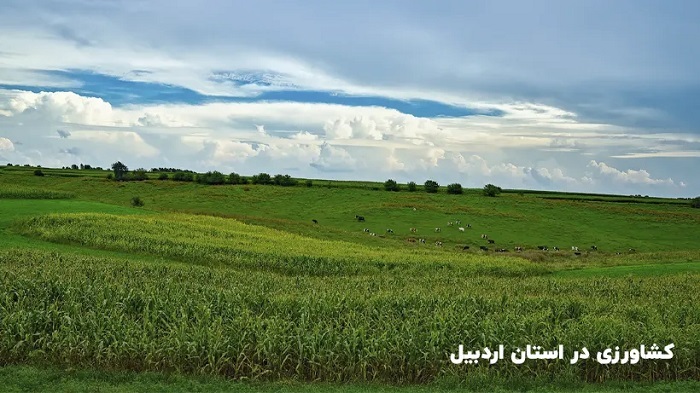 اردبیل؛ پیشران اقتصاد شمال‌غرب ایران در ۱۴۰۴ با جهش تولید، صادرات و توسعه زنجیره‌های صنعتی و کشاورزی