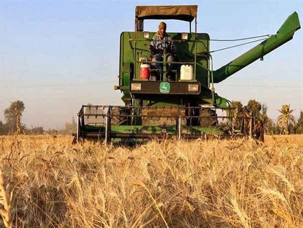 اقتصاد خراسان شمالی در ۱۴۰۴؛ ظرفیت‌های گسترده در کشاورزی، معدن و صنایع تبدیلی