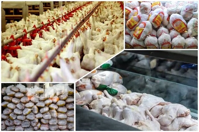 استان فارس در ۱۴۰۴؛ پیشران چندوجهی اقتصاد ایران در صنعت، کشاورزی و گردشگری