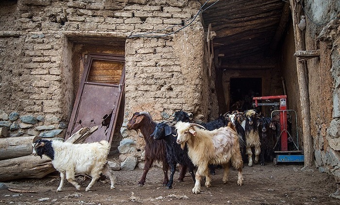 کردستان در مسیر جهش اقتصادی؛ رشد هم‌زمان صنعت، معدن و تجارت مرزی در ۱۴۰۴