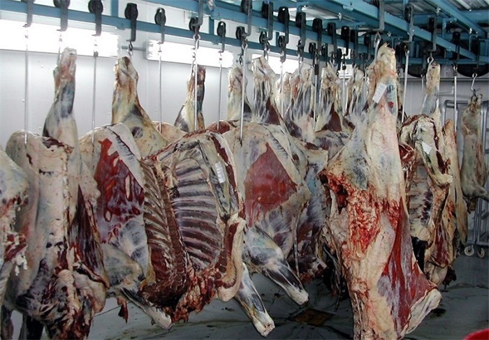 استان کرمان؛ غول اقتصاد معدنی و کشاورزی ایران در سال ۱۴۰۴