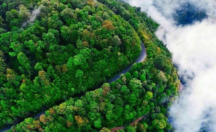 گیلان در ۱۴۰۴؛ از برنج و چای تا بندر و گردشگری، استان سبز ایران در مسیر تثبیت اقتصاد چندبخشی گیلان در ۱۴۰۴؛ از برنج و چای تا بندر و گردشگری، استان سبز ایران در مسیر تثبیت اقتصاد چندبخشی