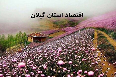 گیلان در ۱۴۰۴؛ از برنج و چای تا بندر و گردشگری، استان سبز ایران در مسیر تثبیت اقتصاد چندبخشی