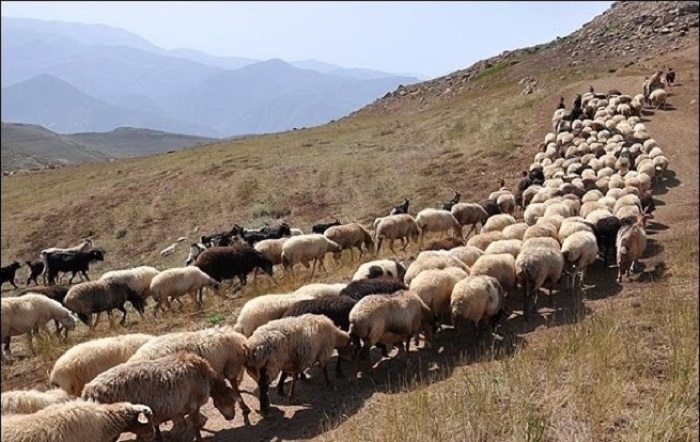 استان خراسان جنوبی؛ استان ظرفیتهای پنهان در معدن، کشاورزی و ترانزیت شرق کشور در سال ۱۴۰۴ استان خراسان جنوبی؛ استان ظرفیتهای پنهان در معدن، کشاورزی و ترانزیت شرق کشور در سال ۱۴۰۴