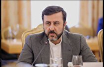 غریب‌آبادی: دولت عمان تسلیم تهدیدها نشود
