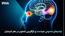 چشم‌های مصنوعی هوشمند و بازآفرینی تصاویر در مغز نابینایان