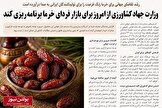 وزارت جهاد کشاورزی از امروز برای بازار فردای خرما برنامه‌ریزی کند