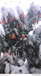 عکس با موبایل