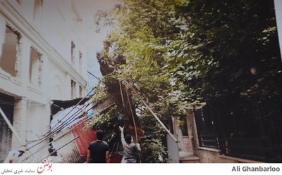 سقوط مصالح و شکستن درخت در خیابان تختی 