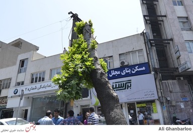 زنده شدن مردگان(از نظر شهرداری)