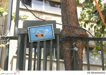 نرده های دانشگاه تهران بلای جانه درختان