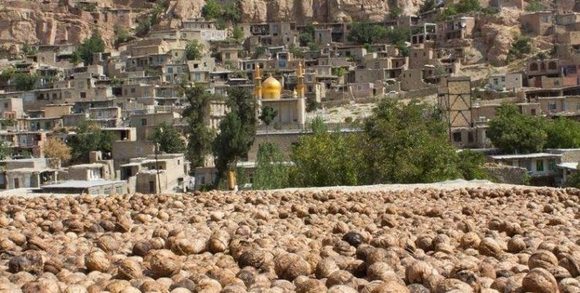 در سال 85 این روستا به عنوان زیباترین روستای ایران معرفی شد. همچنین این روستا جز مناطق نمونه گردشگری خراسان جنوبی است. ایم منطقه جاذبه های بسیاری دارد، مانند چشمه های خروشان، آبشارهای زیبا، غارها و برج های جذاب، وجود چندین امامزاده، رودخانه با آب فراوان، ارتفاعات جنگلی با پوشش گیاهی و غیره. به خاطر همین جاذبه ها، گردشگران بسیاری به این منطقه می آید.از جمله اماکن دیدنی روستای اسفیدان می توان به غار خزانه هنرور، مقبره شیخ محمد رضا ربانی معروف به حاج آخوند، آرامگاه امامزاده بن باقر بن موسی بن جعفر(ع)، آبشار هنرور، آبشار بارگاه اشاره کرد