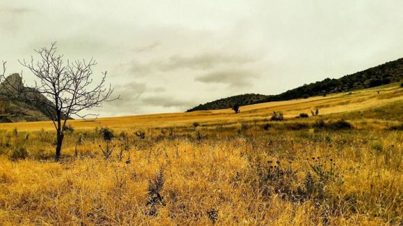 از دیگر جاذبه های بصری و گردشگری یکی از زیباترین روستاهای ایران، روستای توریستی درکش، می توان به  آثار تاریخی با ارزشی چون 