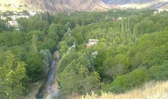 اگر شما از علاقه مندان به حیات وحش و حیوانات هستید، باید این نوید را به شما بدهم که این روستا می تواند همان جایی باشد که انتظارش را داشتید، چرا که انواع حیوانات مانند قوچ، میش، گرگ، پلنگ، خرس، خوک و پرندگان شکاری چون عقاب، شاهین، کرکس و کبک در این منطقه زندگی می کنند و هیجان انگیزتر اینکه، جنگل های این منطقه، یکی از زیستگاه های مرال (گوزن قرمز) با آن جثه بزرگ  است. طول سر و تنه این حیوان،   16 تا 250 سانتی متر، دم آن 12 تا 15 سانتی متر، ارتفاع این حیوان از زمین 120 تا 150 سانتی متر و وزن آن 100 تا 250 کیلوگرم است. مهم ترین  عامل زیبایی این حیوان که شبگرد می باشد و به صورت اجتماعی زندگی می کند، شاخ های بلند با شاخک های منظم آن  است. شاخک هایی که در ابتدا مخملی شکل بوده و به مرور زمان تا زمان جفت گیری، استخوانی می شوند. اواخر اسفند تا اوایل فرودین، زمان افتادن شاخک های این حیوان است. زمان جفت گیری مرال ها (گوزن قهوه ای) نیز  از اواسط شهریور تا اواسط مهرماه است که در این زمان، موهای کوتاه خاکستری رنگ این حیوان به زیباترین شکل (قهوه ای تیره) در می آید