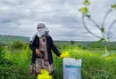 خورشیدی به نامِ رابعه + عکس