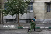 وزش باد شدید و خیزش گرد و خاک در برخی نقاط کشور