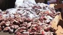 کشف بیش از ۴ تن گوشت فاسد از کارگاه غیرمجاز در شهریار + فیلم