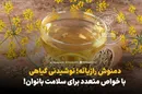 دمنوش رازیانه؛ نوشیدنی گیاهی باخواص متعدد برای سلامت بانوان!