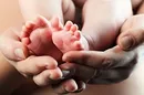با کاهش روند ولادت مواجه هستیم