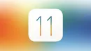فهرست دستگاه‌هایی که با iOS 11 سازگارند