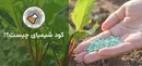 کود شیمیایی چیست و بررسی قیمت آن