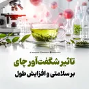 تاثیر شگفت‌آور چای بر سلامتی و افزایش طول عمر