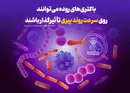 باکتری‌های روده می‌توانند شما را پیر کنند !
