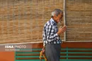 نگهداری از سالمندان منع پذیرش شده و کارتن‌خواب در مراکز شهرداری
